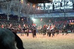 Cavalry - 00268